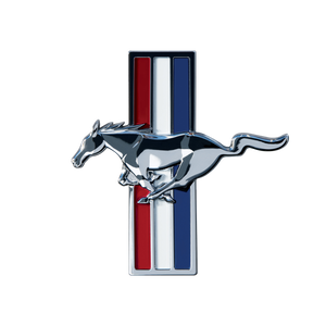 Dad's Mustang