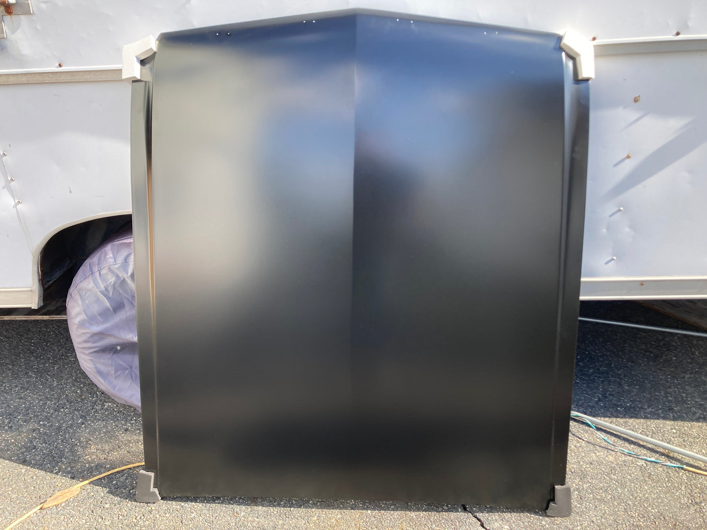 1965-1966 Mustang Hood New